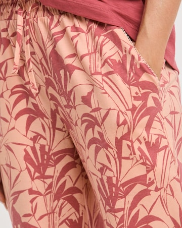 JD Williams (2 Pack) Cotton Top Pyjama Sets