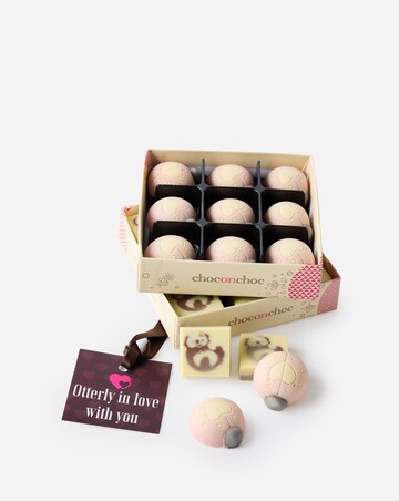 Choc on Choc Valentines Love Bugs and Otterly In Love With You