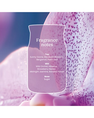 Yankee Candle Signature Large Wild Orchid