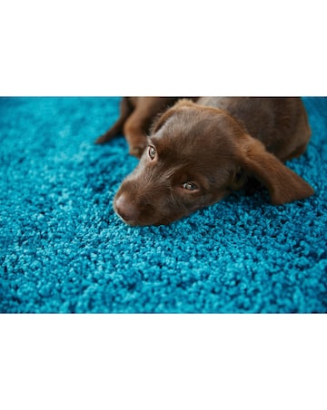 Buddy Washable & Stain Resistant Rug