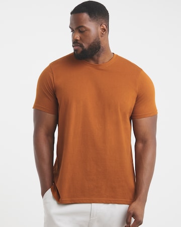 Pure Cotton Crew Neck T-shirt Long Length- Rust