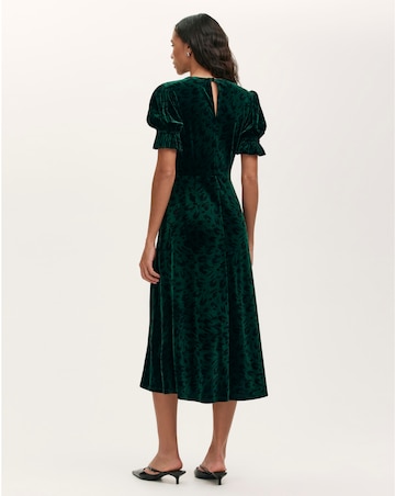 Finery London Animal Print Velvet Dress