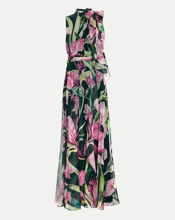 Phase Eight Lucinda Print Maxi Dress