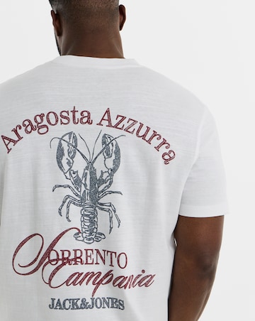 Jack & Jones Cassis Sketch Back Print T-Shirt
