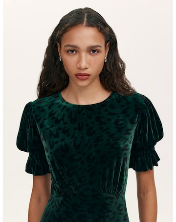 Finery London Animal Print Velvet Dress