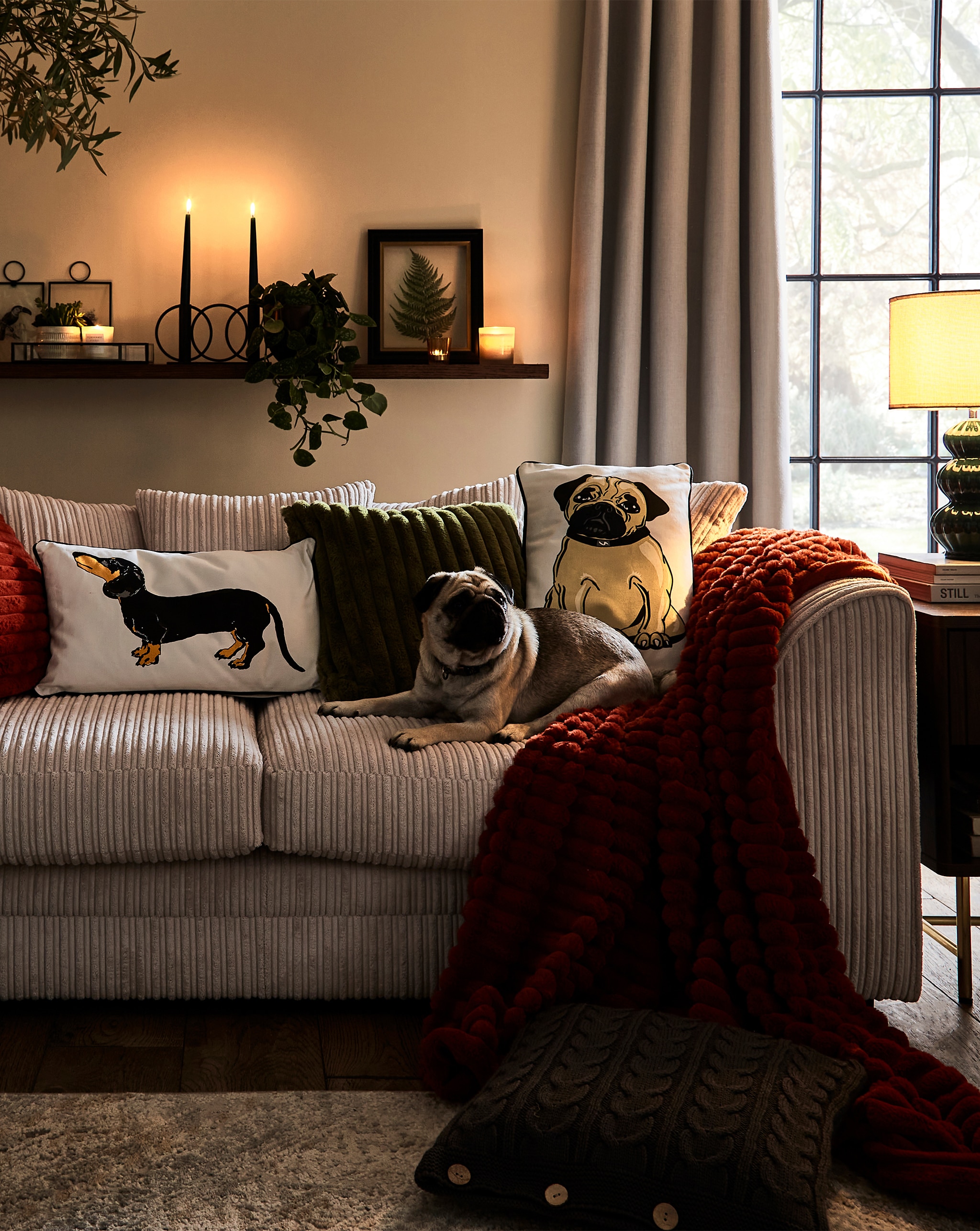 A living room scene with warm lighting, showing a dog sitting on a sofa.