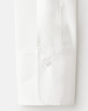Mango Shirt