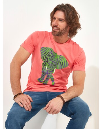 Joe Browns Superb Stripe Elephant Tee Long Length