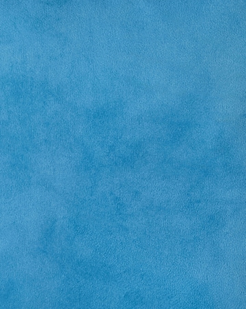 Oriental Birds Velvet Printed Cushion