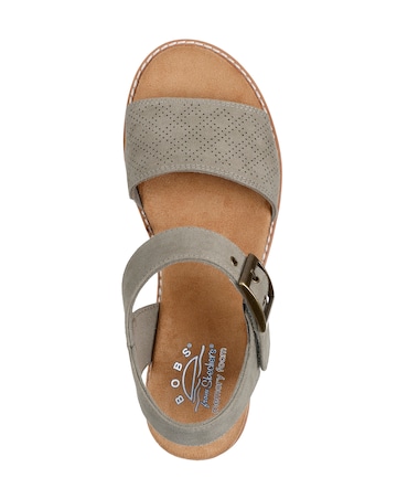 Skechers Bobs Desert Kiss Buckle Sandals Standard Fit