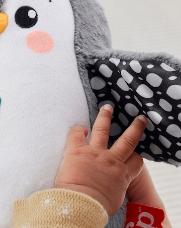 Fisher-Price Flap & Wobble Penguin