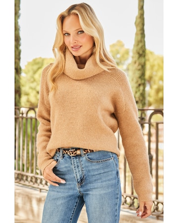 Sosandar Roll Neck Super Soft Knitted Jumper