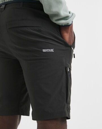 Regatta Highton Shorts Long II