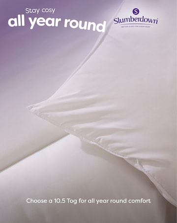 Slumberdown Cosy Nights 10.5 Tog Duvet