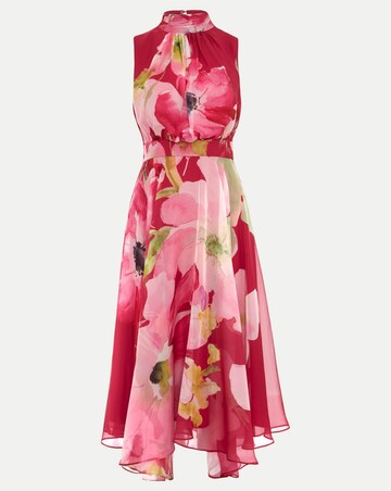 Phase Eight Lucinda Floral Dress