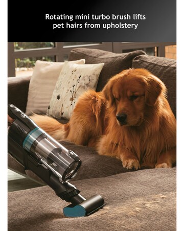 Hoover HF1P10P Pets HF1+ Cordless Vacuum Cleaner