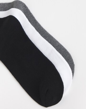 VANS Classic Check Crew Socks 3 Pack