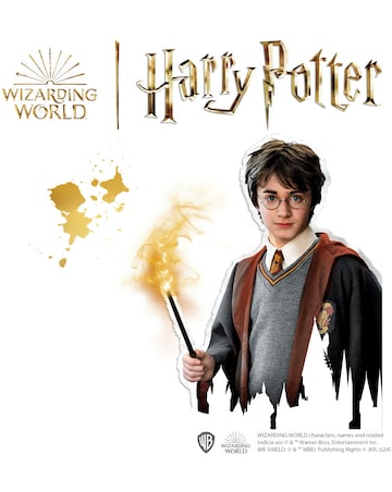 SES Harry Potter - Rub-on Rock Painting