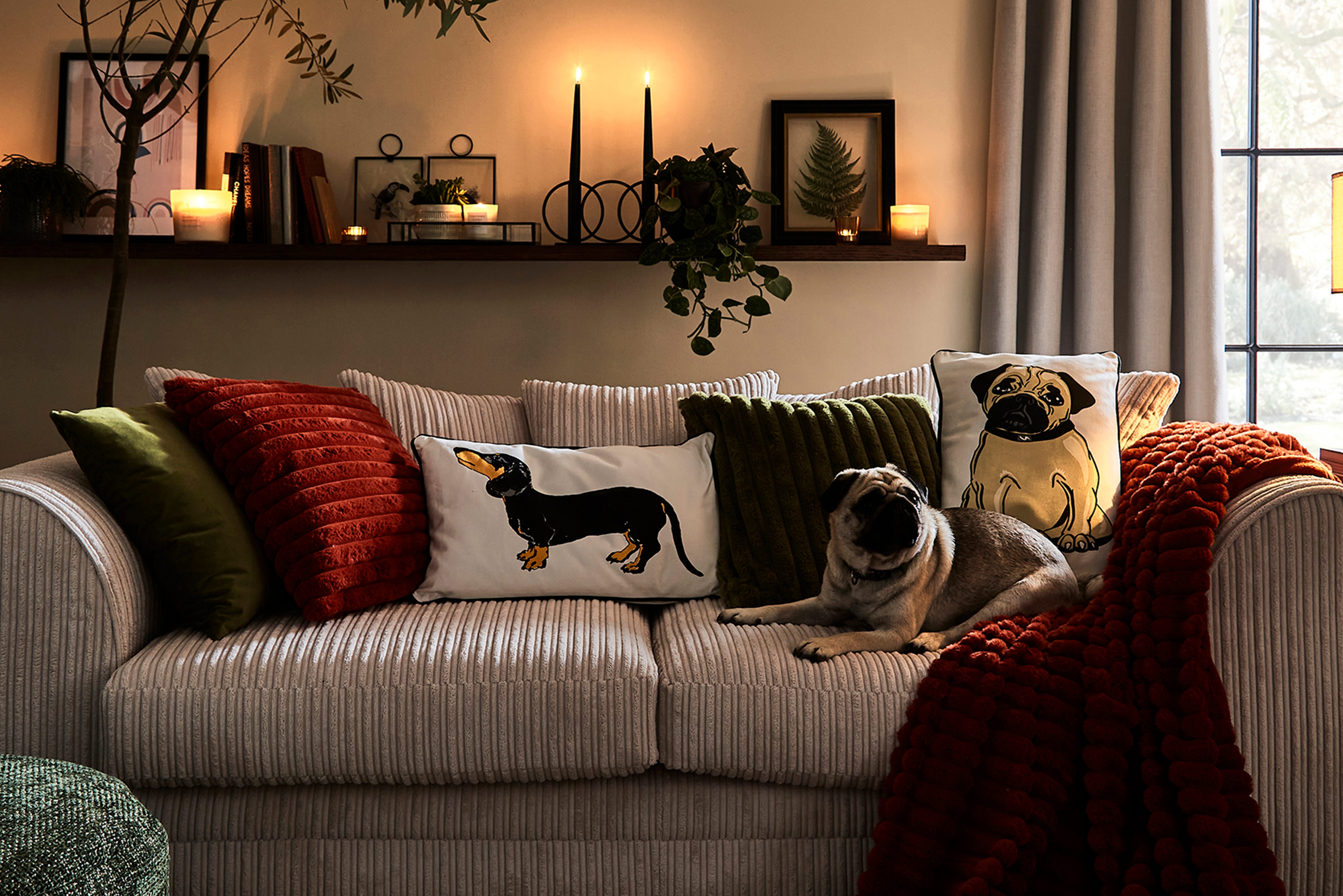 Shot of cosy living room with dog motif cushions and dog laying on sofa