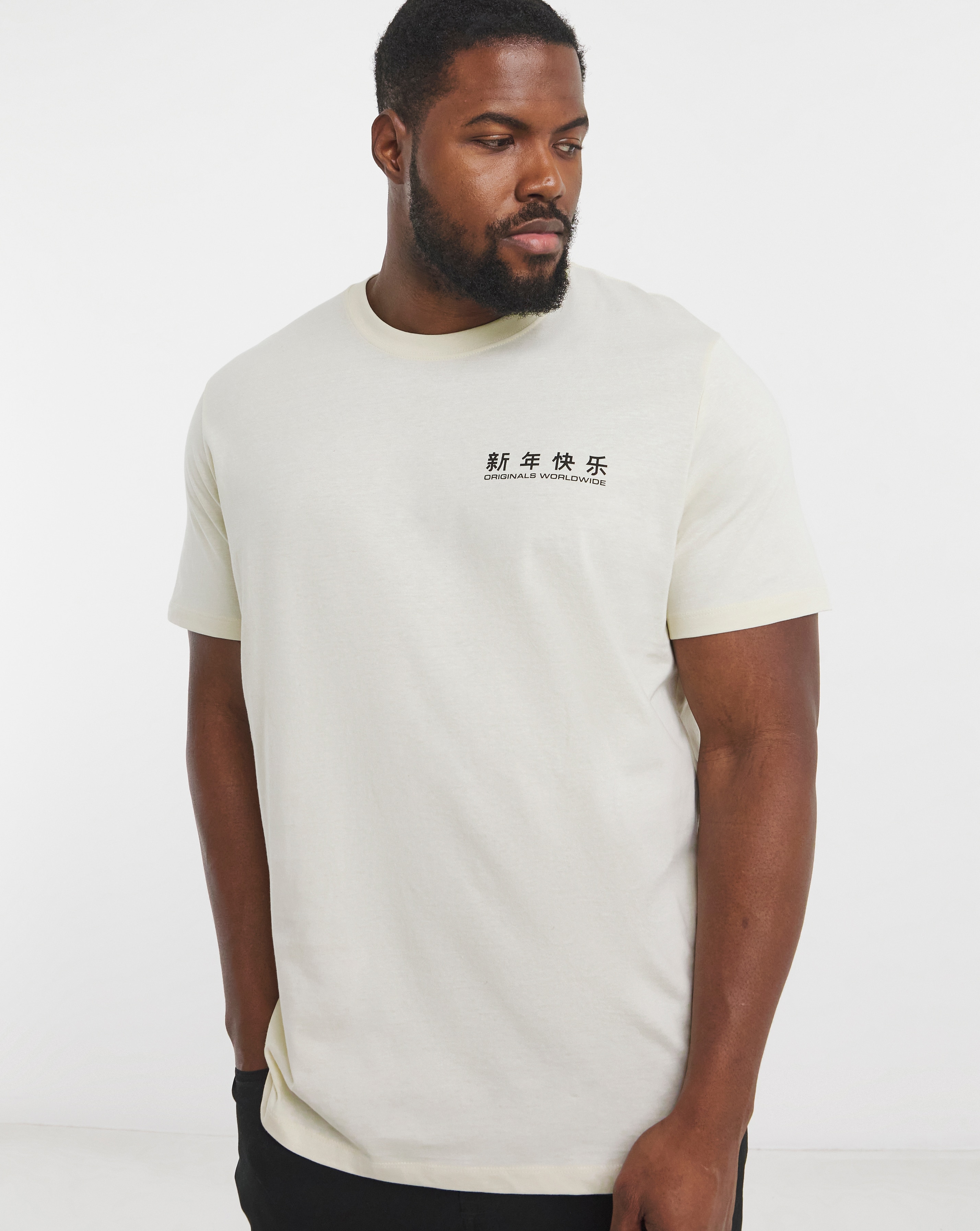 Jack & Jones Snake Back Graphic T-Shirt - White | JD Williams