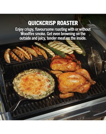 Ninja FlexFlame Outdoor Cooking System Barbecue PG301UK Black/ Silver