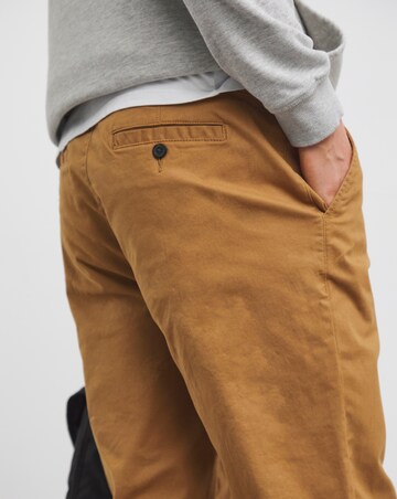 Straight Fit Chino