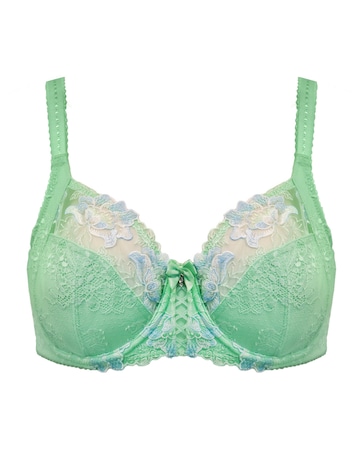 Pour Moi Sofia Full Cup Wired Bra Pistacchio/Blue