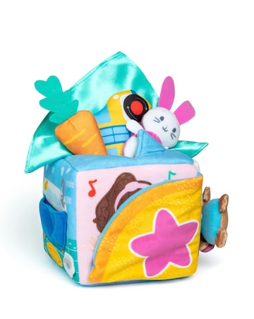 Ms. Rachel Suprise Learning Box