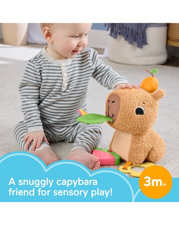 Fisher-Price Snuggly Snacky Capy