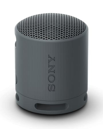 Sony SRS-XB100 Portable Wireless Speaker - Black