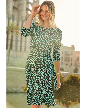 Sosandar Animal Print Ruffle Hem Belted Dress