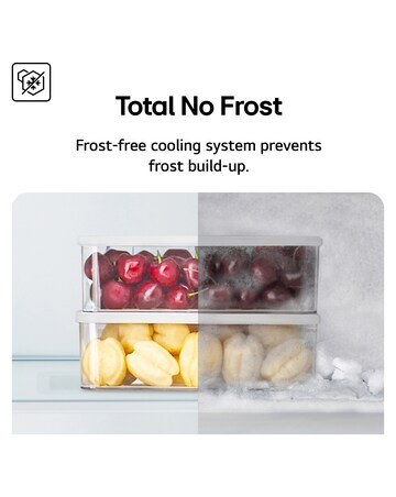 LG GBBSJ2CCPY 60/40 Tall Fridge Freezer - Silver + Install