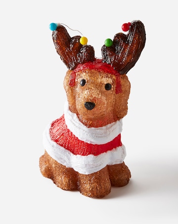 Charlie the Cockapoo Light