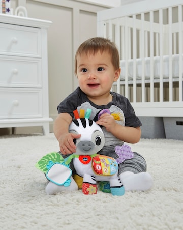 Vtech On-the-Go Soft Zebra