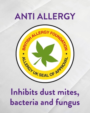 Slumberdown Anti-Allergy Pack of 2 Pillow Protectors