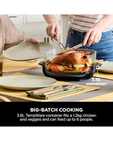 Ninja Crispi 4-in-1 Portable Air Fryer - Stone