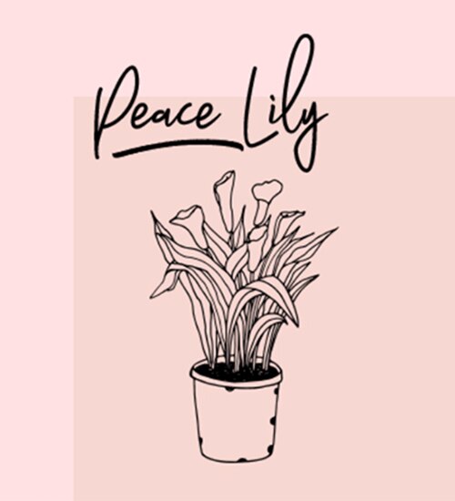Peace Lily illustration