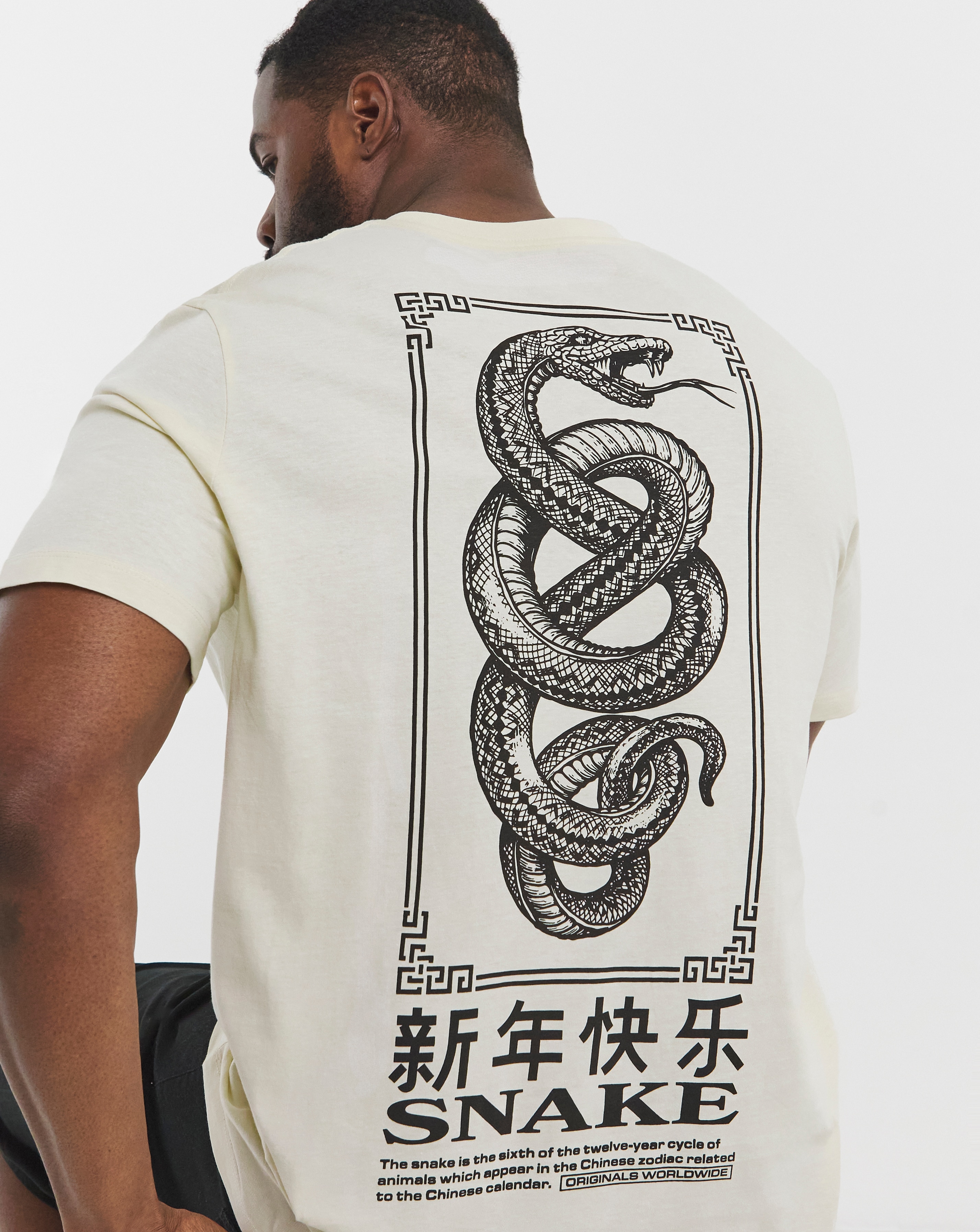 snaked lows Tシャツ Jack & Jones Snake Back Graphic T-Shirt - White | JD Williams