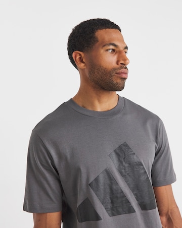 adidas Big Logo T-Shirt