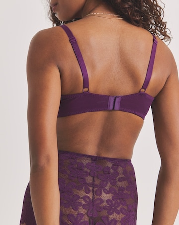 Pretty Secrets (2 Pack) Daisy Lace Shorts Green/Plum