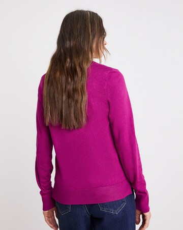 Purple V Neck Jumper