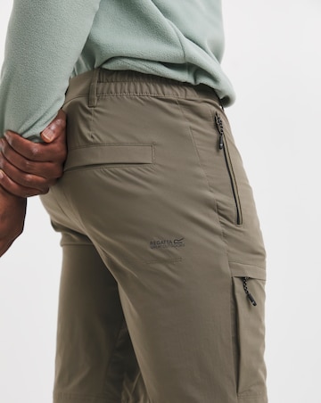 Regatta Highton Shorts Long II