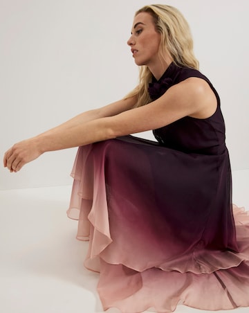 Phase Eight Maybel Ombre Corsage Chiffon Dress