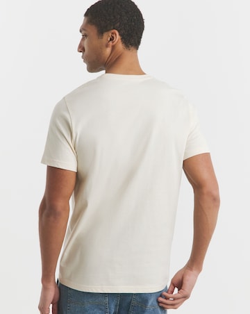 5 Pack Multi Crew Neck T-Shirts