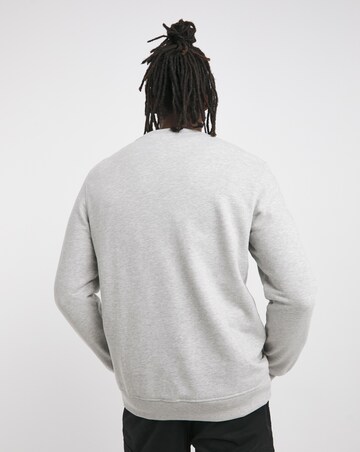 Crew Neck Sweatshirt Long- Grey Marl