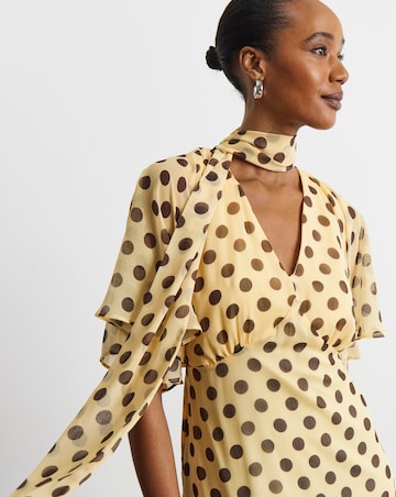 Joanna Hope Maxi Dress With Removeable Scarf