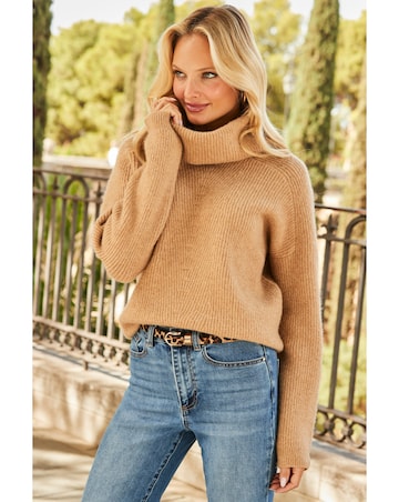 Sosandar Roll Neck Super Soft Knitted Jumper
