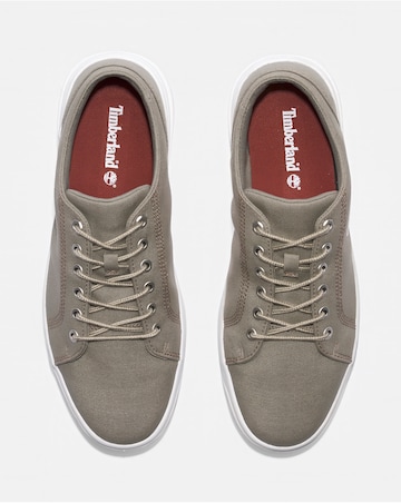 Timberland Seneca Bay Low Lace Sneaker - Light Taupe