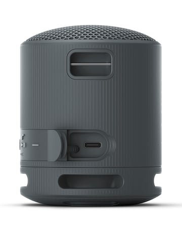 Sony SRS-XB100 Portable Wireless Speaker - Black