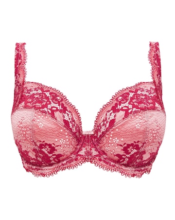Contemporary Lace Padded Plunge Bra
